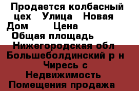 Продается колбасный цех › Улица ­ Новая › Дом ­ 8 › Цена ­ 6 500 000 › Общая площадь ­ 594 - Нижегородская обл., Большеболдинский р-н, Чиресь с. Недвижимость » Помещения продажа   